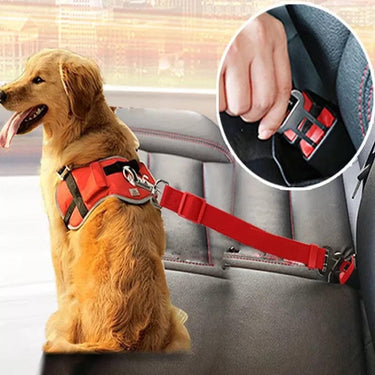 Correa Seguridad Car Pet